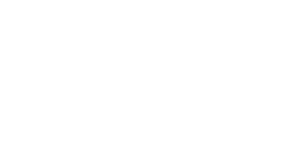 Arya Capital